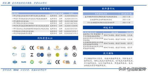 星帥爾 家電零部件龍頭業(yè)務穩(wěn)固，積極拓展光儲新賽道